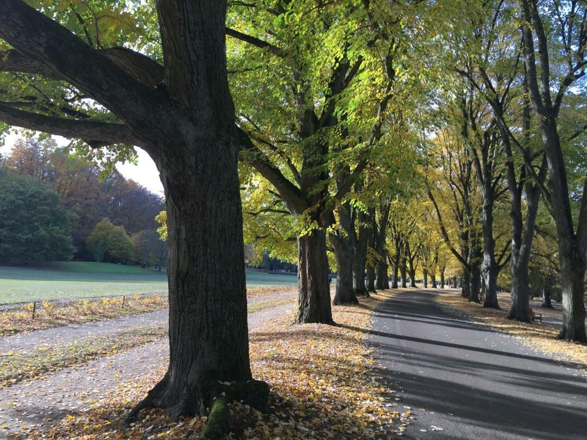 Suite Mit Blick Auf Die Lichtentaler Allee Baden-Baden Esterno foto