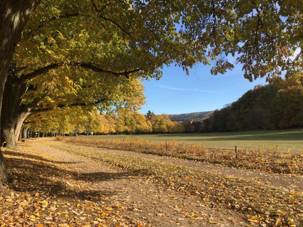 Suite Mit Blick Auf Die Lichtentaler Allee Baden-Baden Esterno foto